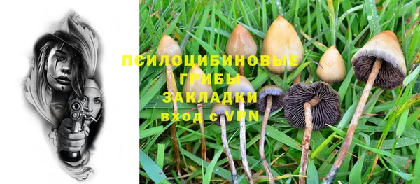 МДМА Белокуриха