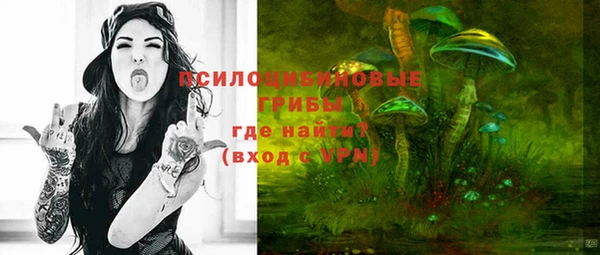 МДМА Белокуриха